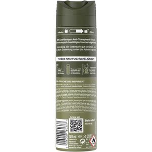 Produktbild für Antitranspirant 8x4 Men Wild Oak