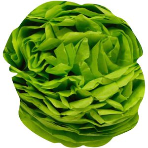 Produktbild für Seidenpapier Clairefontaine 394019C, apfelgrün