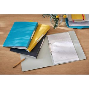 Produktbild für Ringbuch Leitz 4238-00-61, Cosy, A4