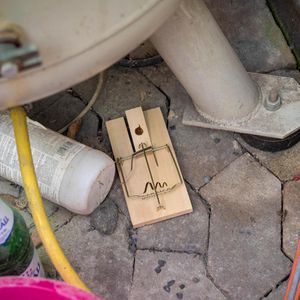 Produktbild für Rattenfalle Gardigo 62324