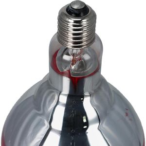 Produktbild für Infrarotlampe Philips InfraRed BR125 IR, E27