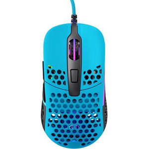 Maus