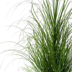 Produktbild für Kunstpflanze Creativ-green Grasbusch