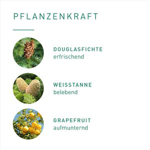 Produktbild für Raumduft Primavera 19504 Raumspray Bio