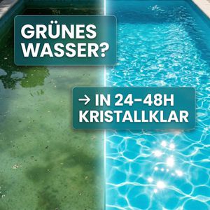 Produktbild für Algizid INOX 90103100, Pool Booster