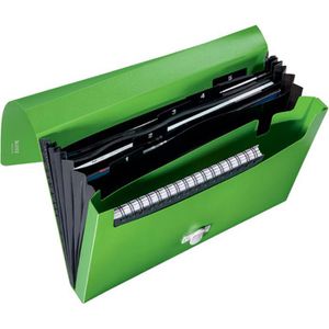 Fächermappe Leitz 4624-00-55 recycle, A4, grün