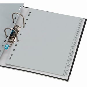 Produktbild für Register Durable 6504-10, A4, 1-52