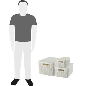 Produktbild für Aufbewahrungsbox Curver Style S/M/L 240652