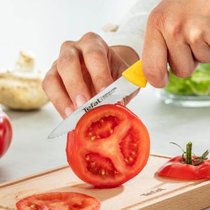 Produktbild für Messerset Tefal Colorfood K273S3 farbig