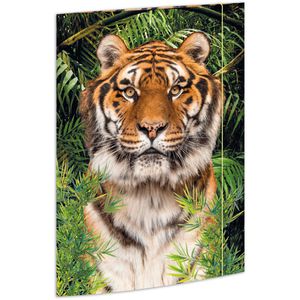 Zeichenmappe RNK 45367, Tiger, A3