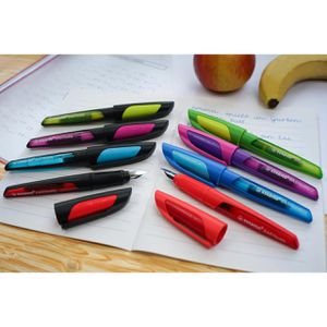 Produktbild für Füller Stabilo EASYbuddy, Feder M