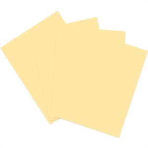 Produktbild für Kopierpapier Papyrus Rainbow 88042254
