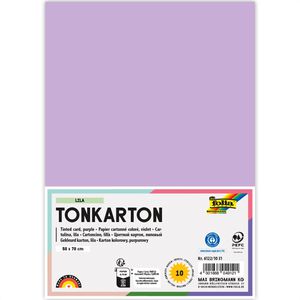 Folia Fotokarton 6122/10 31, 50 x 70 cm, lila, 220g/m², 10 Blatt