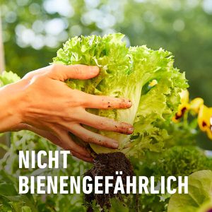 Produktbild für Grundstoff Compo Bio Brennnessel, anwendungsfertig