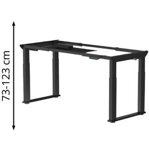 Schreibtischgestell FlexiSpot E2QB, schwarz, 4 Memoryspeicher
