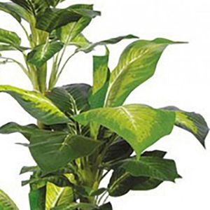 Produktbild für Kunstpflanze Decovego Dieffenbachie