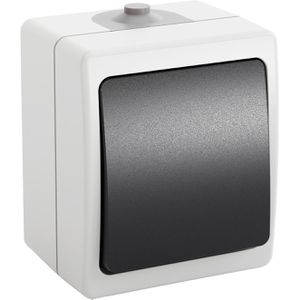 Lichtschalter Greate grau