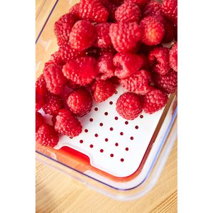 Produktbild für Frischhaltedose Rotho Cauma, aus Kunststoff