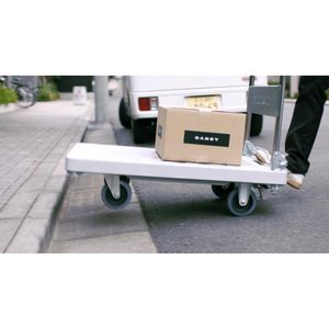 Produktbild für Transportwagen RuXXac Dandy XL, mit Bremse