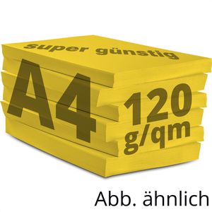 Produktbild für Kopierpapier Papyrus Rainbow 88042392