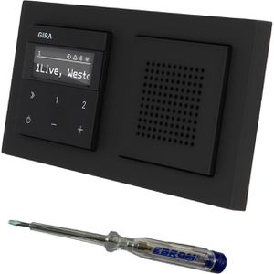 Produktbild für Radio Gira IP 232005, E2, Internetradio Set