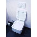Zusatzbild WC-Reiniger EASYmaxx WC Intensiv-Schaum