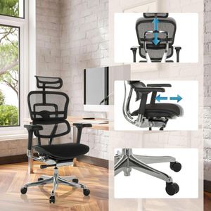 Produktbild für Bürostuhl hJh-OFFICE ERGOHUMAN GEN2, 652305