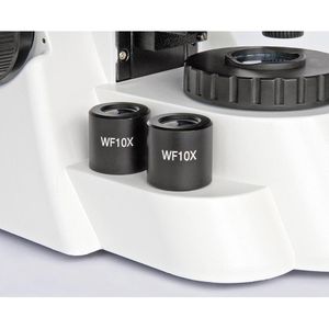 Produktbild für Mikroskop Bresser Bioscience Trinokular, analog mit Durchlicht