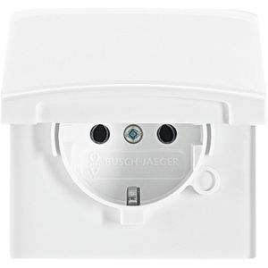 Steckdose Busch-Jaeger 20 EUGK-34-101, Allwetter 44, Unterputz