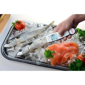 Produktbild für Einstichthermometer ebro TLC 750i-V2, digital