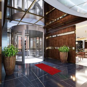 Produktbild für Schmutzfangmatte Hamat Twister