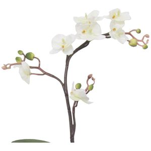 Produktbild für Kunstblume Creativ-green Orchidee, Phalaenopsis