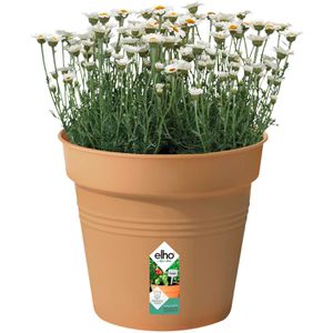 Produktbild für Pflanztopf elho Green Basics, 12 Liter