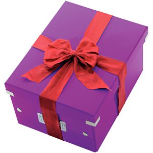 Produktbild für Aufbewahrungsbox Leitz 6044-00-62 Click&amp;Store, 21L