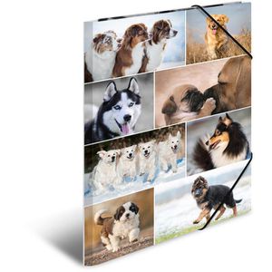 Produktbild für Zeichenmappe Herma 19218, Hunde, A3