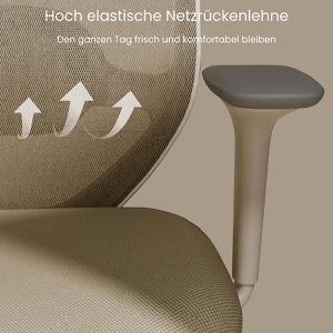 Produktbild für Bürostuhl FlexiSpot C5W-PRO