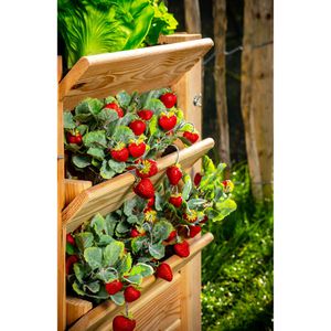 Produktbild für Hochbeet Westmann Premium XL, aus Lärchenholz