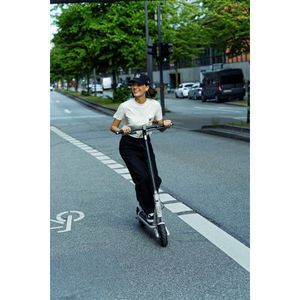 Produktbild für E-Scooter Egret Ey! 3, 350 W Motor, max. 20km/h
