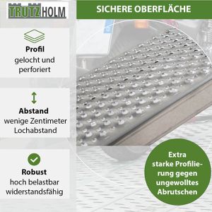 Produktbild für Auffahrrampe Trutzholm 39049, aus Aluminium