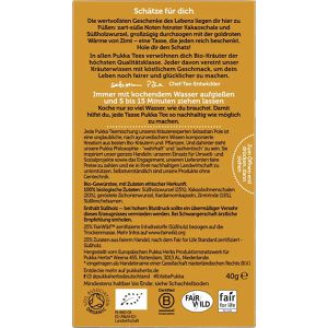 Produktbild für Tee Pukka Cacao Chai, BIO