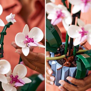 Produktbild für Klemmbausteine LEGO Botanicals 10311, ab 18 Jahre