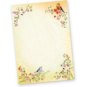 Produktbild für Briefpapier tatmotive TOSKANA Set, A4