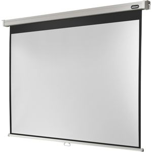 Produktbild für Beamer-Leinwand Celexon Rollo Professional