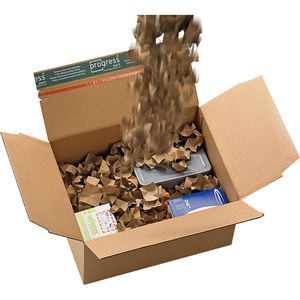 Produktbild für Verpackungschips progress Decofill, 240 Liter