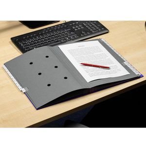 Produktbild für Pultordner Leitz 5931-00-35, A4, 1-31