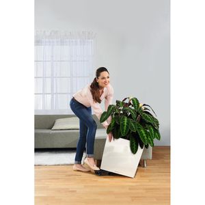 Produktbild für Pflanzenroller Lechuza 13503, bis 120 kg, Ø 36 cm