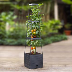Produktbild für Rankgitter Böttcher-AG 94254, anthrazit, freistehend