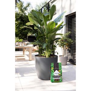 Produktbild für Pflanzsubstrat Lechuza XXL-PON 14049, 25 Liter