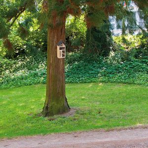 Produktbild für Insektenhotel Böttcher-AG Linda, zum Aufhängen, aus Holz