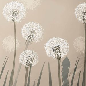 Produktbild für Bettwäsche Kleine-Wolke Belfiore, Taupe, Satin